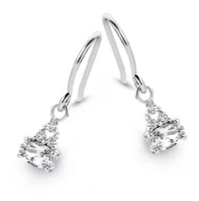 Naiomy oorringen met zirconium 