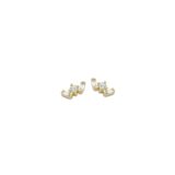 Naiomy oorringen verguld zirconium