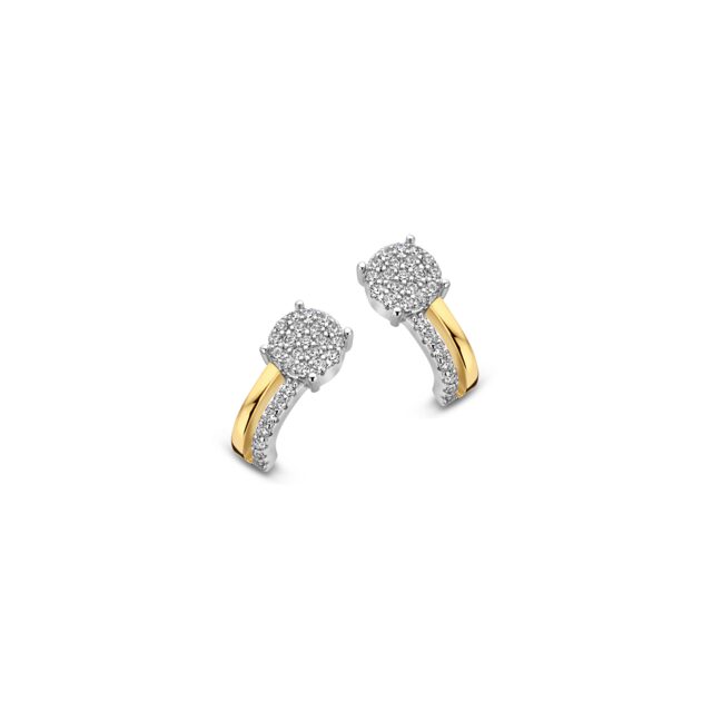 Naiomy oorringen bicolor zirconium  