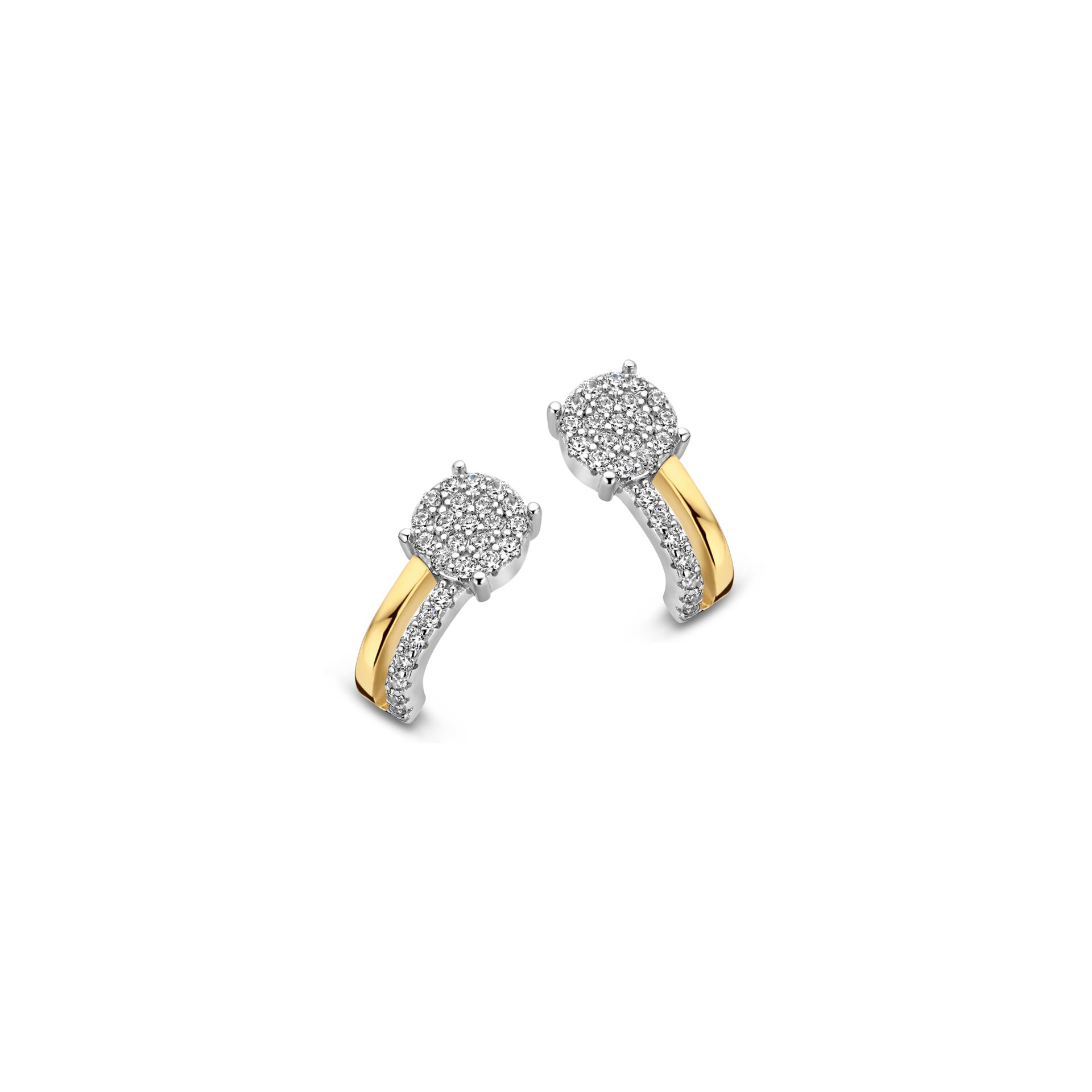Naiomy oorringen bicolor zirconium  