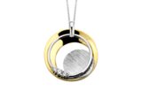 Emotions PP1244BB hanger geel en witgoud 18ct briljant 0.130ct