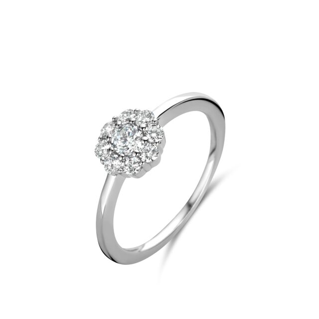Naiomy Zilver ring  zirconium