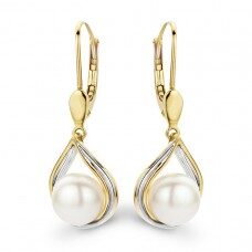 Go2585bi You and Me  pareloorringen geel en witgoud 18ct