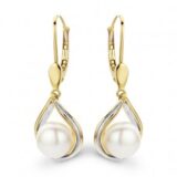 Go2585bi You and Me  pareloorringen geel en witgoud 18ct