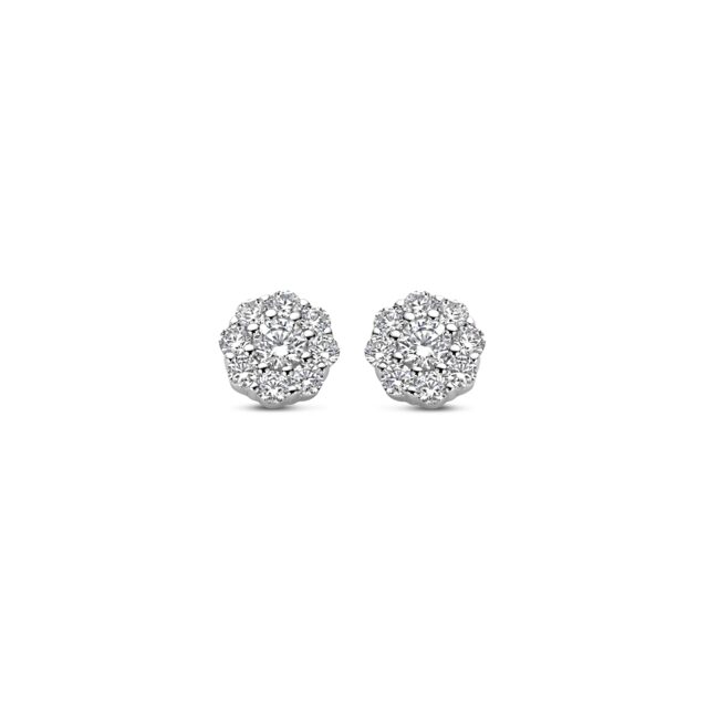 Naiomy oorringen zilver & Zirconium 