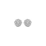 Naiomy oorringen zilver & Zirconium