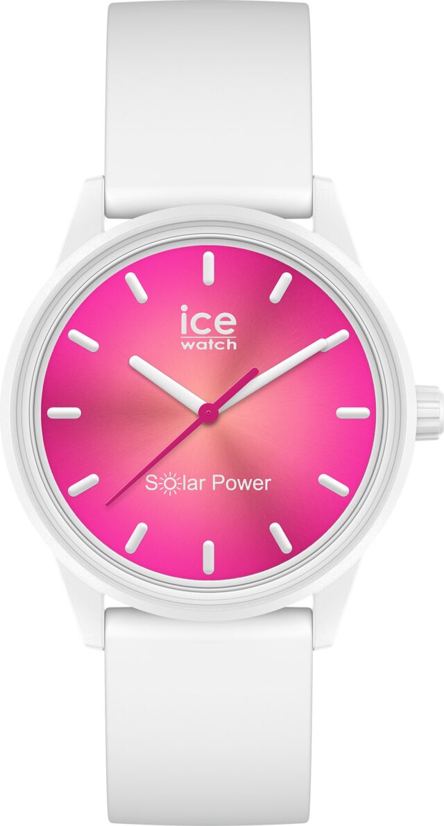 Ice solar power coral reef small