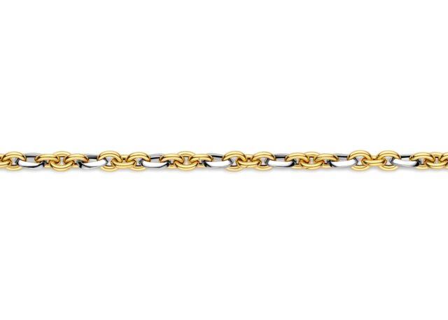 v1761 armband wit en geelgoud 18ct 