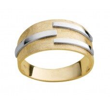 Emotions ring SR2830 18 ct goud