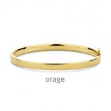 BA153 Armband staal geel