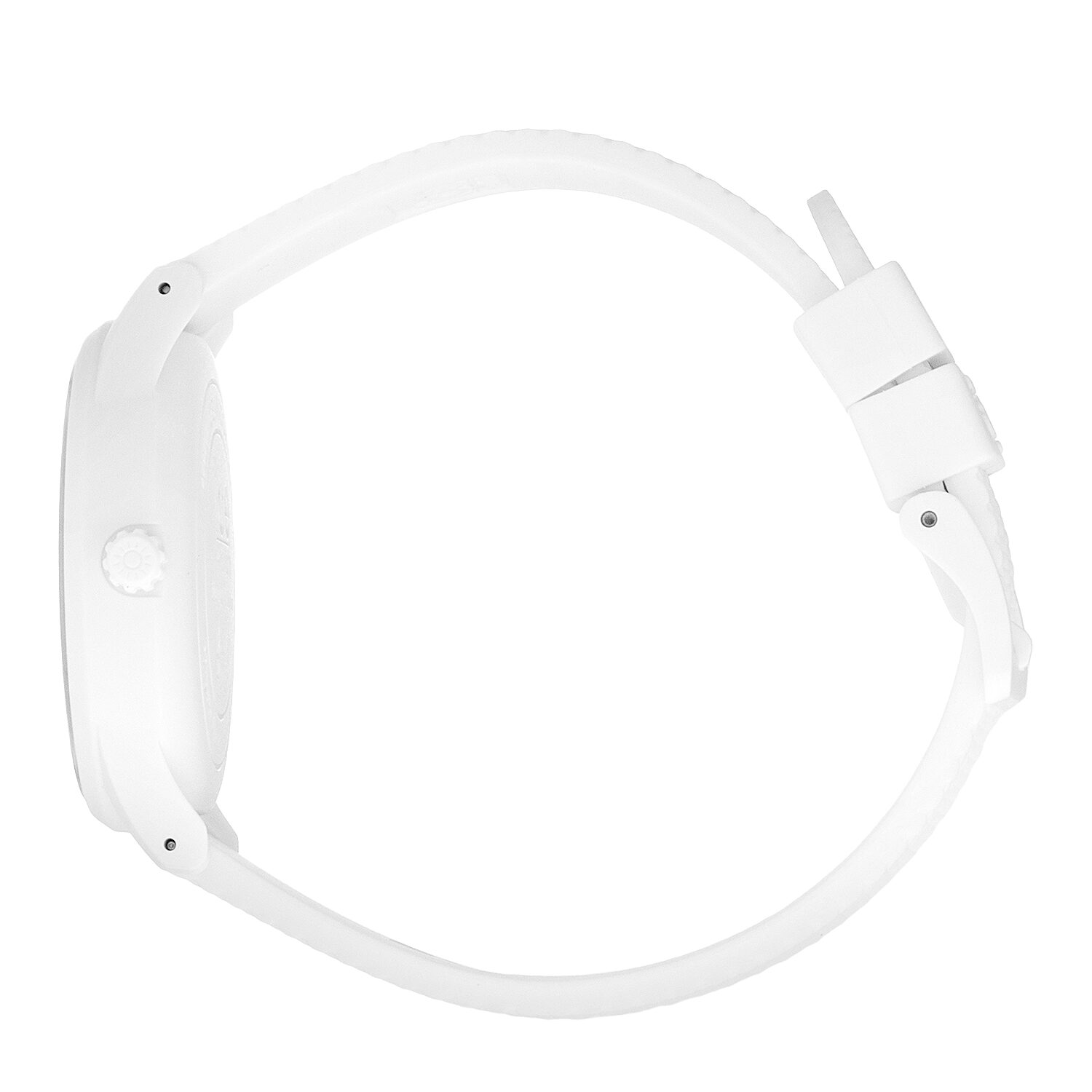 ice solar power coral reef Medium