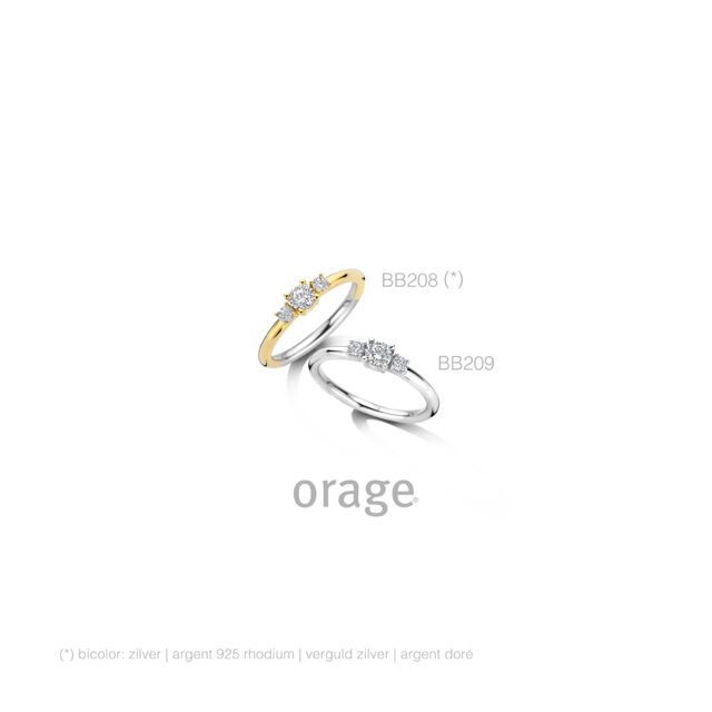 BB209 Ring  zilver