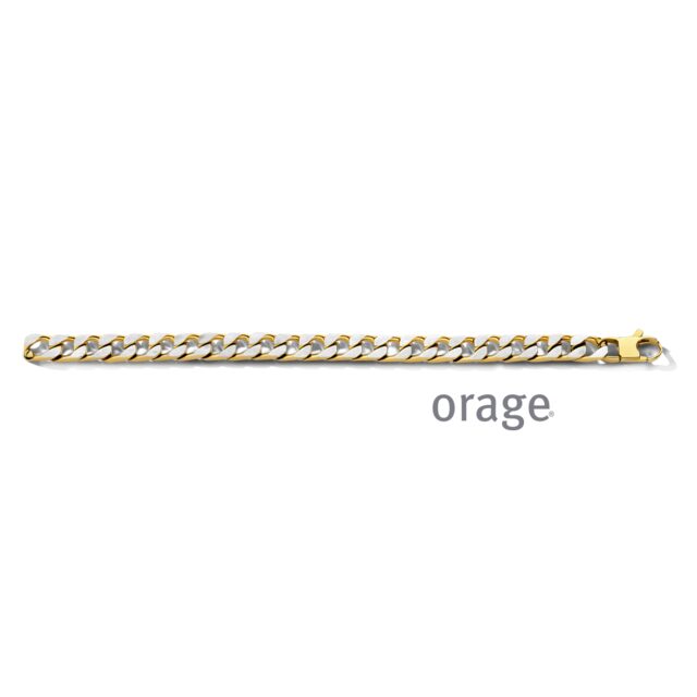 BC110 Armband heren staal bicolor gee