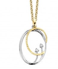 Emotions E453 hanger wit & geelgoud 18ct met briljant 0.07ct