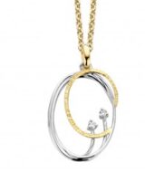 Emotions E453 hanger wit & geelgoud 18ct met briljant 0.07ct
