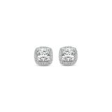 Naiomy oorringen  met zirconium