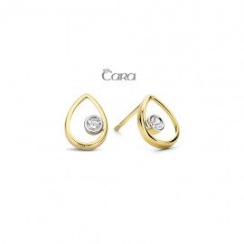 oorringen 18 ct bicolor zirconium  ca430