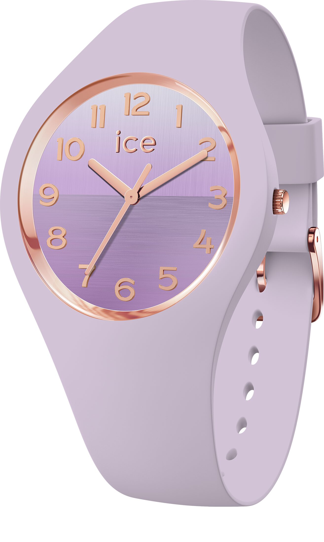 Ice Horizon orchid medium