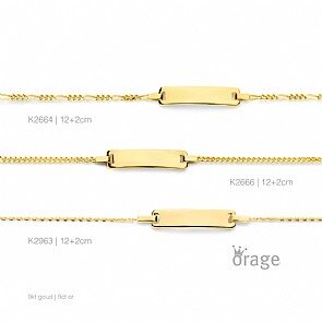 K2666-K2381 Identiteit gourmette 9 kt geel goud (