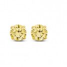 Lisa Mona oorringen 14ct geel 5mm