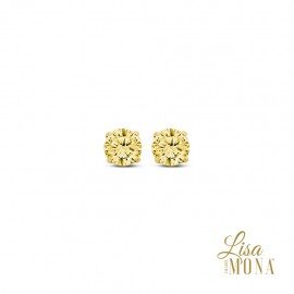 Lisa Mona oorringen 14ct geel 5mm