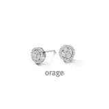 AW233 oorringen zirconium