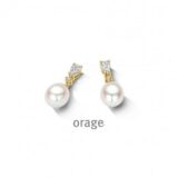 BB336 Oorslingers verguld gel zirconium