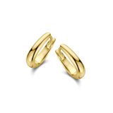 naiomy oorring creolen zilver verguld