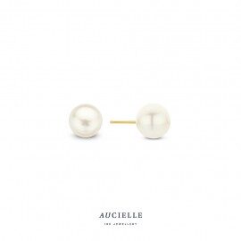 AE0027F/6MM PARELOORRING 6MM geelgoud 18ct
