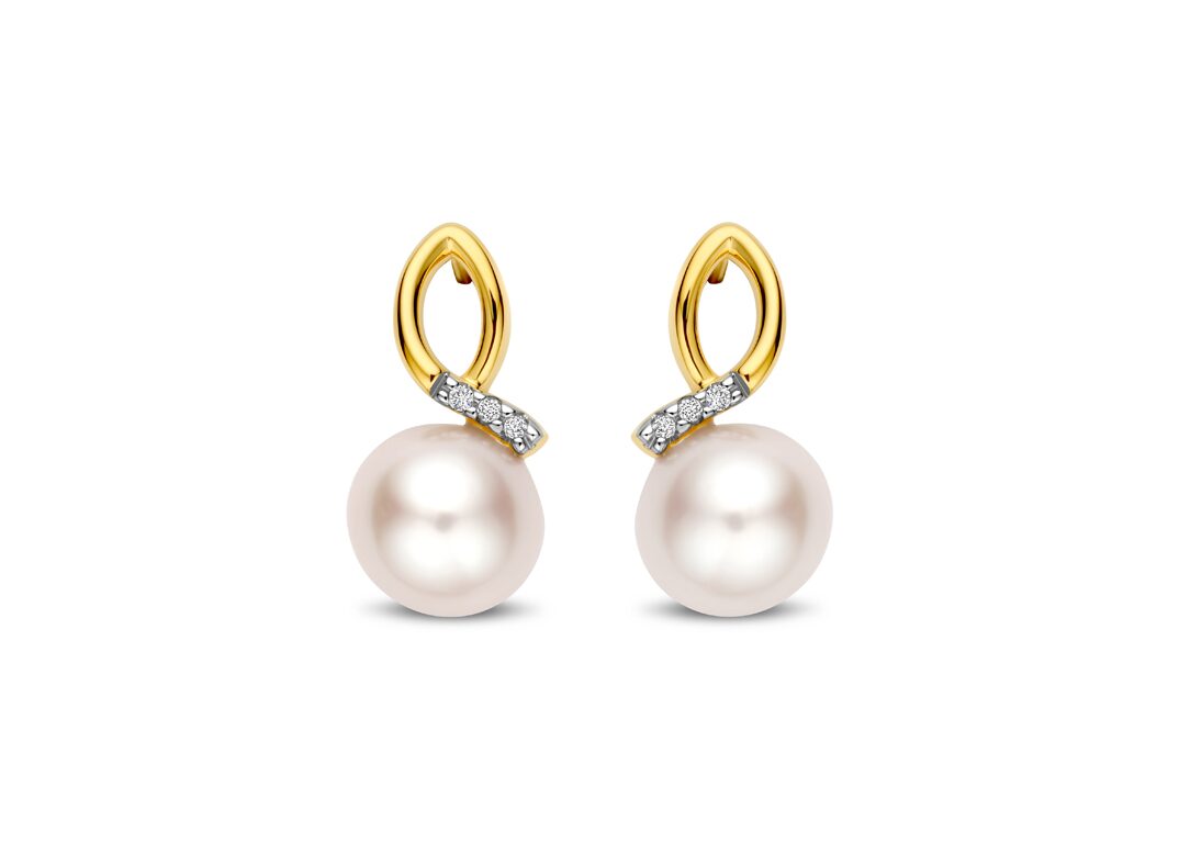 V3846 Pareloorringen you and me 18ct briljant 0.020ct 