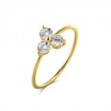 LisaMona ring 14kt geelgoud zirconium
