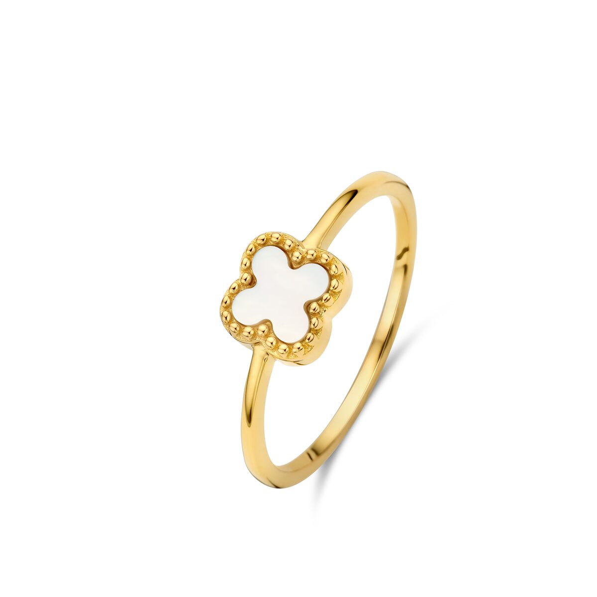 ing zilver geel verguld + bloem met nacre Naiomy N3z60