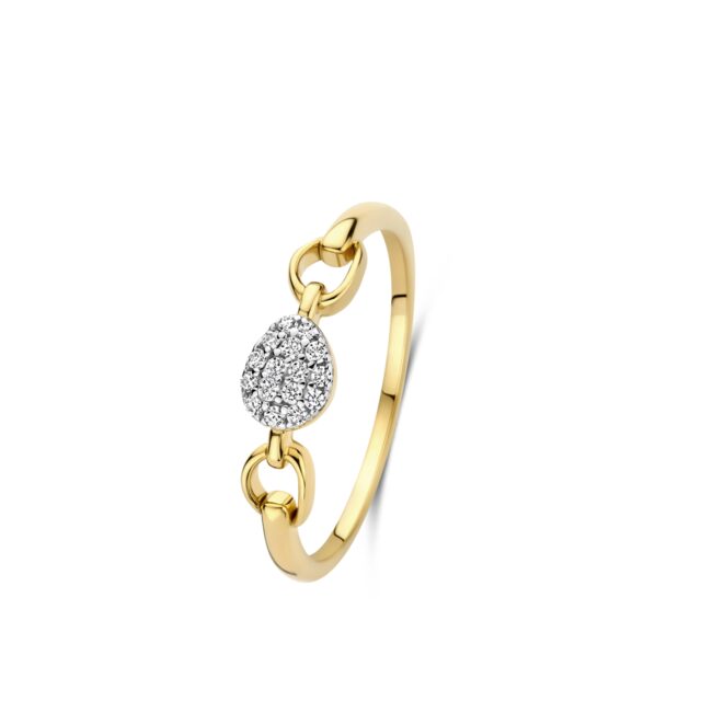 N6I54
Zilveren geel vergulde ring + CZ Naiomy
