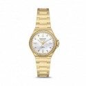 R74017 Word star 30 sparkle