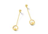 Y2455 slingeroorbellen 18ct geelgoud